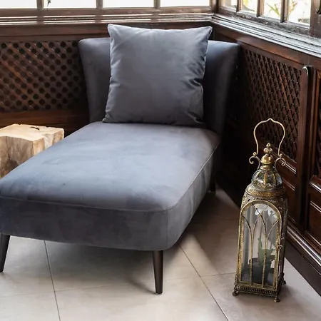 فيلة Drago By Agm *