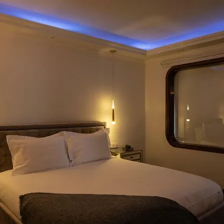 Drago By Agm Willa *